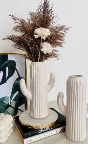 Ceramic Cactus Decorative Showpiece - Set of 3