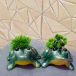 Ceramic Frog Planter(Set of 2)